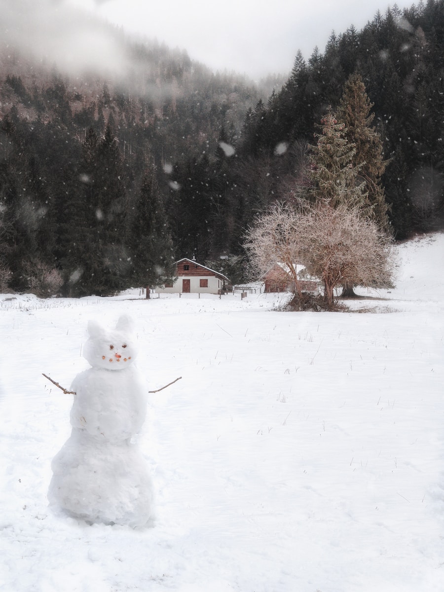 white snowman on snow covered ground during daytime